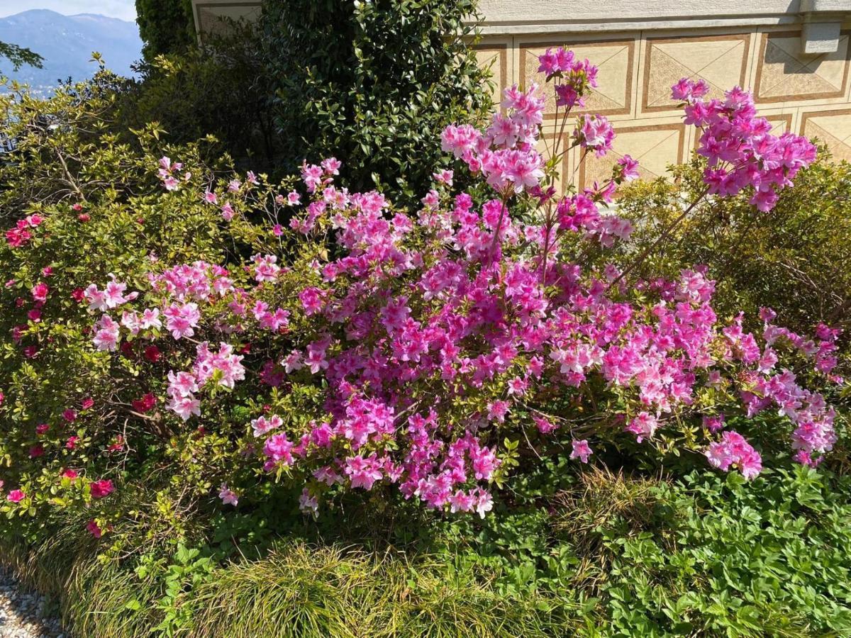 Villino Tarlarini Villa Laveno-Mombello Eksteriør bilde